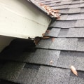 Age of Current Roof: What You Need to Know Before Repairing or Replacing