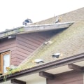 Understanding Pest Infestations and How to Protect Your Roof