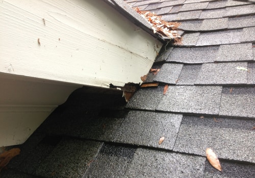 Age of Current Roof: What You Need to Know Before Repairing or Replacing